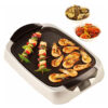 2000W Electric Grill