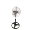 Pedestal Fan