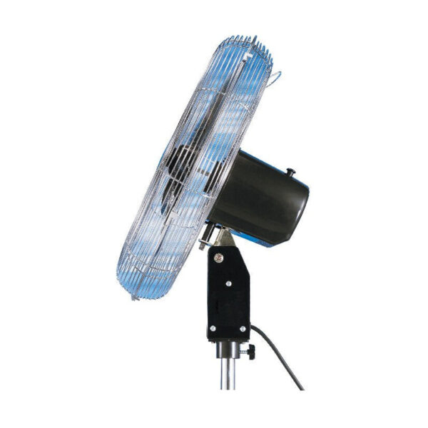 Pedestal Fan