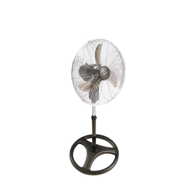 Pedestal Fan